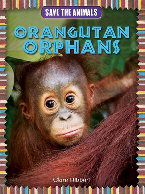 cover image of Orangutan Orphans